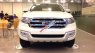 Ford Everest Titanium 2.2L 4x2 2017 - Xe Ford Everest Titanium 2.2L nhập khẩu Thái Lan giá rẻ, hỗ trợ trả góp 80% tại Điện Biên