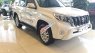 Toyota Prado TX-L 2017 - Toyota LandCruiser Prado trắng ngọc trai - Giá tốt, có xe giao ngay - Liên hệ đặt xe/ hotline: 0973.306.136