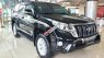 Toyota Prado TX-L 2017 - Toyota LandCruiser Prado trắng ngọc trai - Giá tốt, có xe giao ngay - Liên hệ đặt xe/ hotline: 0973.306.136