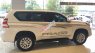 Toyota Prado TX-L 2017 - Toyota LandCruiser Prado trắng ngọc trai - Giá tốt, có xe giao ngay - Liên hệ đặt xe/ hotline: 0973.306.136