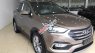 Hyundai Santa Fe 4WD 2017 - Bán Hyundai Santa Fe 4WD đời 2017, màu nâu