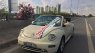 Volkswagen Beetle 2004 - Bán Volkswagen Beetle năm 2004, màu trắng, giá chỉ 480 triệu