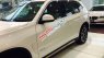 BMW X5 Xdrive 35I 2017 - Bán BMW X5 Xdrive 35I đời 2017, màu trắng, nhập khẩu