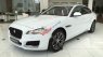 Jaguar XF Prestige   2016 - Bán Jaguar XF Prestige đời 2016, màu trắng, nhập khẩu