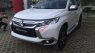 Mitsubishi Pajero Sport  GLS 2017 - Cần bán Mitsubishi Pajero Sport GLS 2017, màu trắng, xe nhập, giao xe ngay, hỗ trợ trả góp 85%