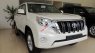 Toyota Prado TX-L 2017 - Toyota LandCruiser Prado nâu ánh đồng 2017 - Nhập khẩu Nhật Bản, có xe giao ngay/ hotline: 0973.306.136