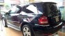 Mercedes-Benz GL350 2009 - Bán xe Mercedes đời 2009, màu xanh lam, xe nhập