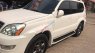 Lexus GX470 2004 - Cần bán xe Lexus GX470 2004, màu trắng, xe nhập, 920tr