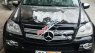 Mercedes-Benz GL 320 2009 - Bán ô tô Mercedes GL320 đời 2009, màu đen