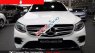Mercedes-Benz GLC  300 AMG 2017 - Bán xe Mercedes GLC300 AMG đời 2017, màu trắng, nhập khẩu