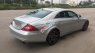 Mercedes-Benz CLS class 2004 - Bán Mercedes CLS class năm 2004, màu bạc, xe nhập  