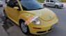 Volkswagen Beetle 2.5AT 2008 - Cần bán Volkswagen Beetle 2.5AT đời 2008, màu vàng, xe nhập số tự động, giá 550tr