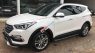 Hyundai Santa Fe 4WD 2017 - Bán ô tô Hyundai Santa Fe 4WD đời 2017, màu trắng