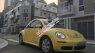 Volkswagen Beetle   2008 - Bán ô tô Volkswagen Beetle 2008, màu vàng xe gia đình