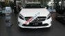 Mercedes-Benz A class  A 200  2016 - Cần bán lại xe Mercedes A 200 đời 2016, màu trắng, xe nhập còn mới