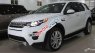 LandRover Discovery   Sport   2017 - Bán LandRover Discovery Sport sản xuất 2017, màu trắng, nhập khẩu