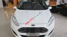 Ford Fiesta Titanium  2017 - Bán Ford Fiesta Titanium đời 2017, màu trắng
