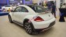 Volkswagen Beetle 2017 - Bán xe Volkswagen Beetle huyền thoại năm 2017, màu trắng, nhập khẩu 0916721166