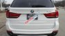 BMW X5 XDrive35 2017 - Bán BMW X5 XDrive35 năm 2017, màu trắng, nhập khẩu