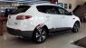 Luxgen U7 2017 - Bán ô tô Luxgen U7 năm 2017, màu trắng, nhập khẩu nguyên chiếc