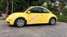 Volkswagen Beetle 2007 - Bán Volkswagen Beetle năm 2007, màu vàng, nhập khẩu chính chủ