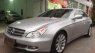 Mercedes-Benz CLS class 300 2009 - Bán Mercedes CLS 300 2009, màu bạc, xe nhập, 890tr