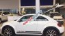 Volkswagen Beetle Dune 2.0 TSI 2018 - Bán xe Volkswagen Beetle Dune 2.0 TSI đời 2018, màu trắng, xe nhập
