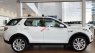 LandRover Discovery Sport HSE Luxury 2018 - Bán xe LandRover Discovery Sport HSE Luxury SX 2018, màu trắng, nhập khẩu 