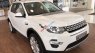 LandRover Discovery Sport HSE Luxury 2018 - Bán xe LandRover Discovery Sport HSE Luxury SX 2018, màu trắng, nhập khẩu 