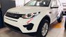 LandRover Discovery Sport 2018 - Bán LandRover Discovery Sport đời 2017, màu trắng, nhập khẩu nguyên chiếc