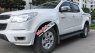 Chevrolet Colorado   AT  2016 - Cần bán xe Chevrolet Colorado AT 2016, màu trắng ít sử dụng