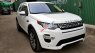 LandRover Discovery Sport HSE 2016 - Bán xe LandRover Discovery Sport HSE 2017 nhập Mỹ