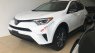 Toyota RAV4 LE 2017 - Bán Toyota RAV4 LE xuất Mỹ sản xuất 2017, đăng ký 2018, xe chạy chưa tới 5000Km