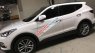 Hyundai Santa Fe 4WD 2017 - Bán ô tô Hyundai Santa Fe 4WD đời 2017, màu trắng chính chủ
