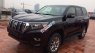 Toyota Prado VX  2018 - Cần bán xe Toyota Prado sản xuất 2018