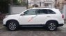 Kia Sorento GAT 2015 - Cần bán xe Kia Sorento GAT đời 2015, màu trắng