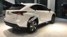 Lexus NX 300 2018 - Bán Lexus NX 300 năm 2018, màu trắng, nhập khẩu nguyên chiếc