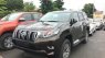 Toyota Prado VX 2018 - Bán xe Toyota Prado VX năm sản xuất 2018, màu đồng ánh kim, nhập khẩu nguyên chiếc