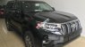 Toyota Prado VX 2018 - Bán Toyota Land Cruise Prado VX đời 2019, màu đen, xe và giấy tờ giao ngay, đăng ký trong ngày. LH: 0906223838