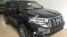 Toyota Prado VX 2018 - Bán Toyota Land Cruise Prado VX đời 2019, màu đen, xe và giấy tờ giao ngay, đăng ký trong ngày. LH: 0906223838