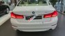 BMW 5 Series 520i 2018 - Bán BMW 520i All New G30, nhập khẩu, màu trắng, nội thất beige, xe có thể giao ngay với đầy đủ hồ sơ