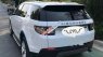 LandRover Discovery 2017 - Bán ô tô LandRover Discovery đời 2017, màu trắng, nhập khẩu nguyên chiếc