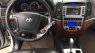 Hyundai Santa Fe MLX  2009 - Bán Santa Fe MLX nhập khẩu, số tự động, máy dầu, bản đủ nhất