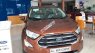 Ford EcoSport Titanium 1.5 AT 2019 - Cần bán xe Ford EcoSport Titanium 1.5 AT sản xuất năm 2019, màu đỏ, giá tốt