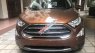 Ford EcoSport   Titanium 2019 - Bán xe Ford EcoSport Titanium sản xuất 2019, màu nâu, xe nhập, mới hoàn toàn