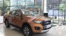 Ford Ranger   Wildtrak 2019 - Bán ô tô Ford Ranger Wildtrak năm 2019, màu nâu, nhập khẩu, 868 triệu