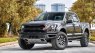 Ford F 150 Raptor 2019 - Bán Ford F-150 Raptor sản xuất 2019, màu đen, xe nhập khẩu nguyên chiếc