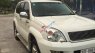 Toyota Prado VX 4.0 AT 2005 - Bán Toyota Prado VX 4.0 AT năm 2005, màu trắng, nhập khẩu 