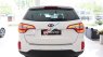 Kia Sorento  GAT 2019 - Bán xe Kia Sorento đời 2019, màu trắng