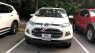Ford EcoSport 2016 - Bán Ford EcoSport sản xuất năm 2016, màu trắng xe gia đình, giá 520tr